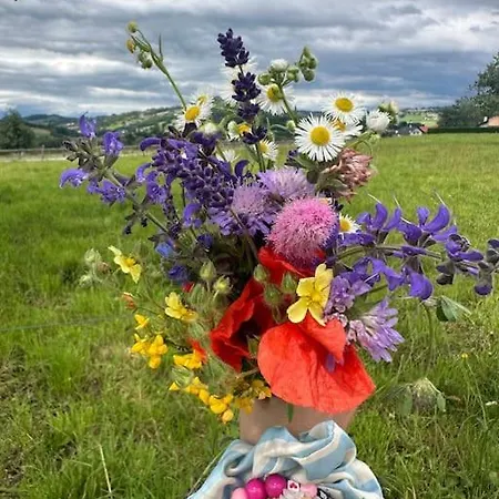 Cocon A La Campagne,proche Annecy * Alby-sur-Cheran