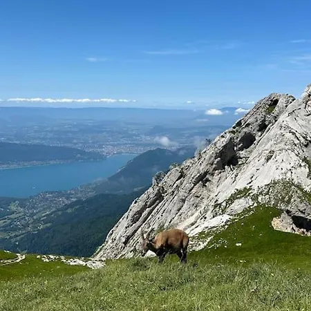 Apartment Cocon A La Campagne,proche Annecy